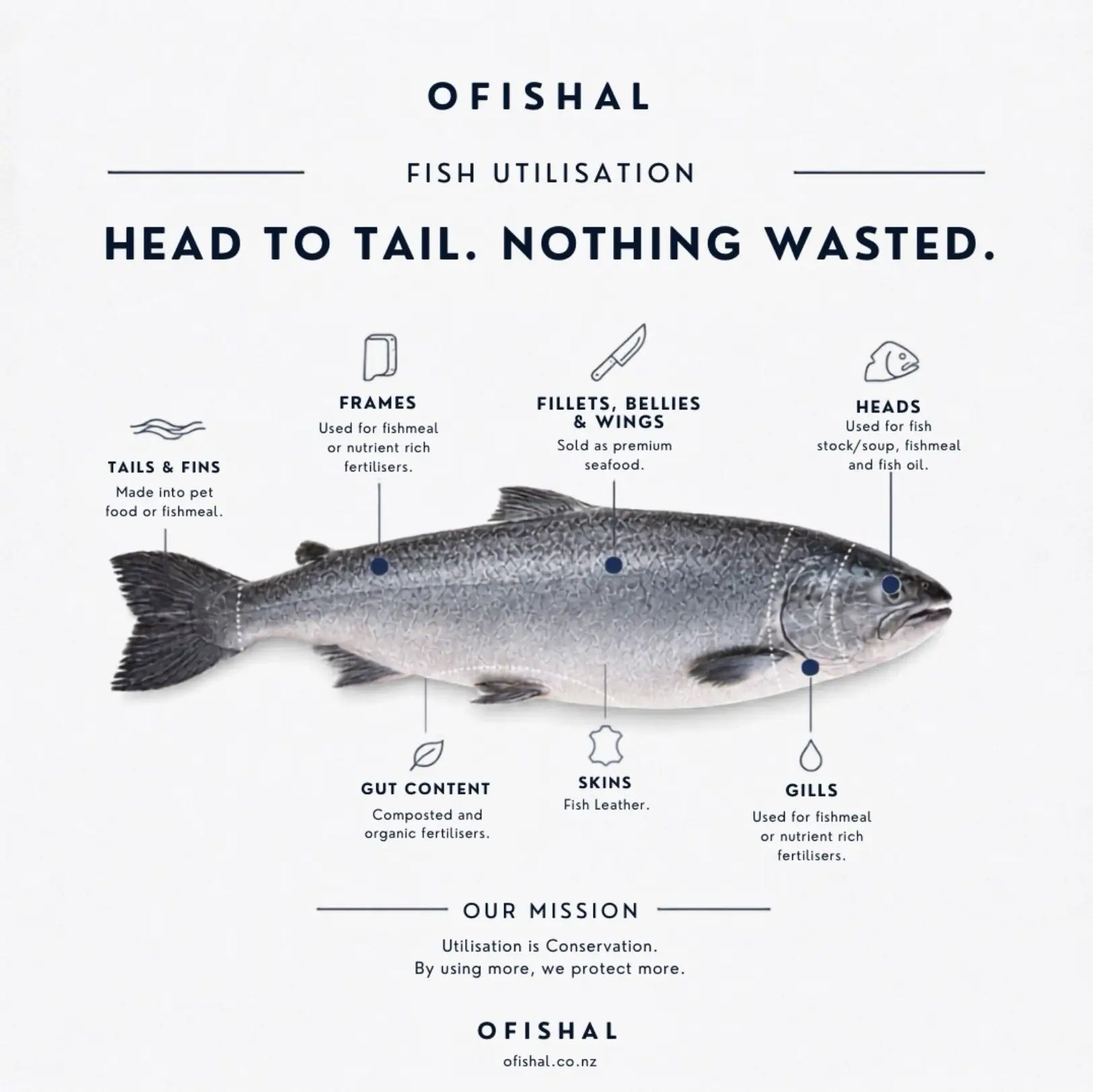 From Ocean to Outfit: How Fish Leather Is Shaping the Future of Fashion