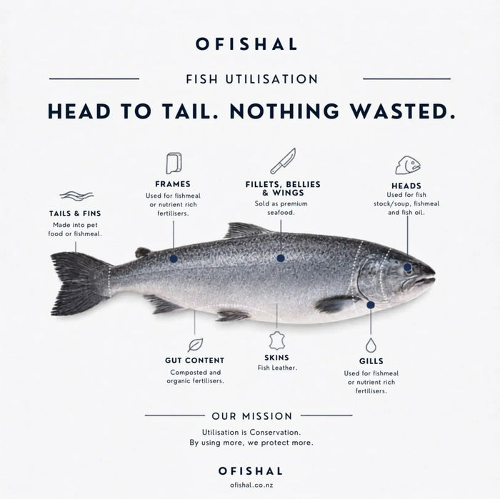 From Ocean to Outfit: How Fish Leather Is Shaping the Future of Fashion