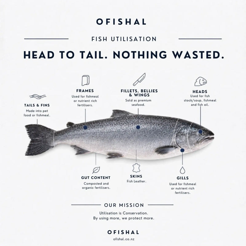 From Ocean to Outfit: How Fish Leather Is Shaping the Future of Fashion