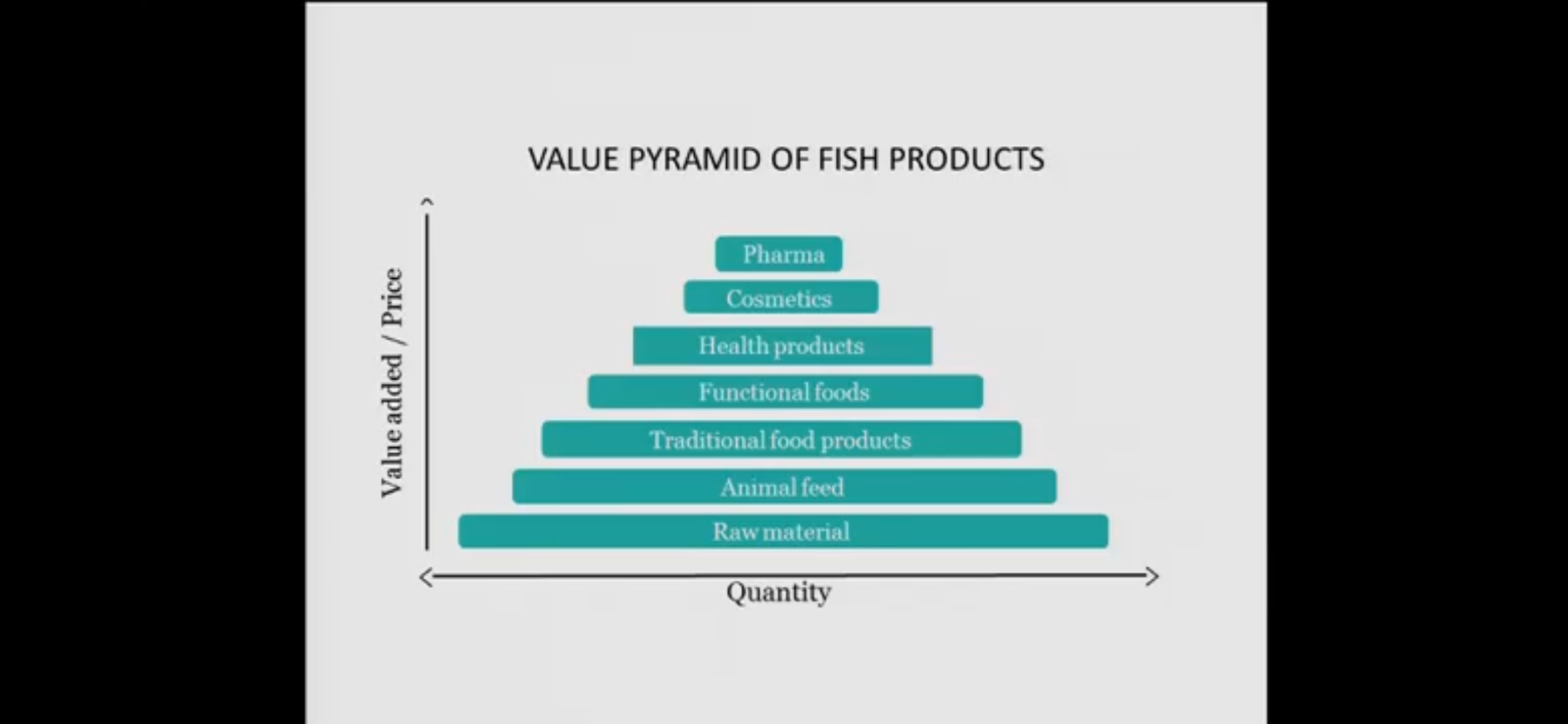 The Circular Economy of the Ocean: How Turning Fish Skin Into Leather Reduces Waste